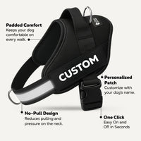 Dogshood ™ No Pull Harness