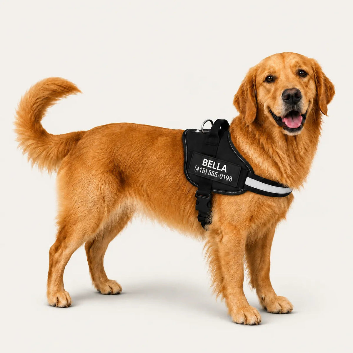 Dogshood ™ .