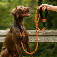 Reflective Nylon Leash